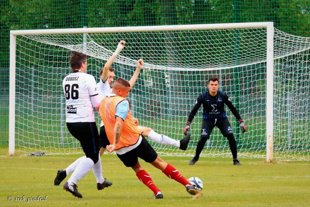 Nie tylko Lech będzie jubilatem. Uznanie dla Polonii